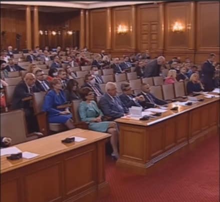 Мария Димитрова: Стига вече сме ги хрантутили тези търтеи в Парламента!