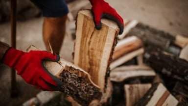 Корнелия Нинова: Държавата ще продава дървата за огрев без посредници,а цената пада