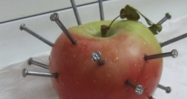 Ванга: Ябълка с пирони цери анемия, в желязото се крие лека за най-коварните болести