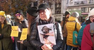 Протест пред Съдебната палата срещу садиста Захари, изтезавал кучето Мечо