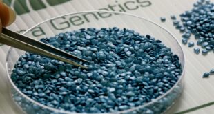 Учени и експерти от цял свят призоваха международните лидери към предпазливост в разпространението на ГМО