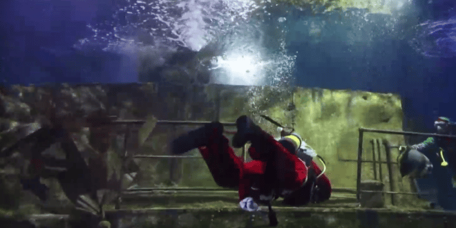 Дядо Коледа се гмурна в аквариум, за да нахрани акули в Малта (ВИДЕО)