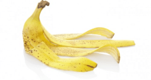 Банановата кора – по-полезна дори от самия банан