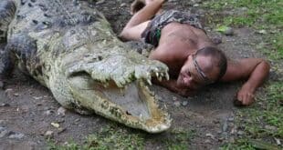 В продължение на 6 месеца мъж се грижел за крокодил