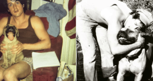 Силвестър Сталоун продал кучето си за 40 долара и го откупил за…..!!