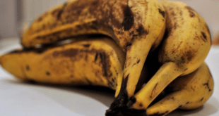 Щом се появят кафяви петна по тях, бананите се озовават в кошчето: И дори не осъзнавате колко са здрави