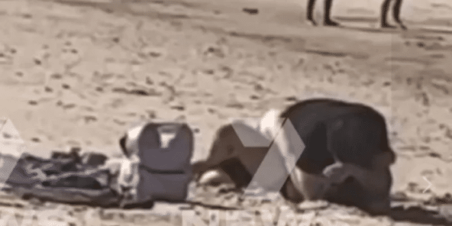 Разгонена двойка прави секс на плажа пред очите на деца и шокирани очевидци!!