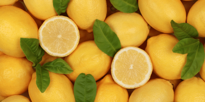87 евро за килограм - най-скъпият лимон в света