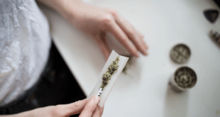 Всяко шесто дете в гимназия взима наркотици