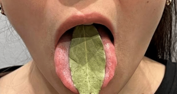 Сложете дафинов лист под езика си и изчакайте няколко минути – действа бързо!