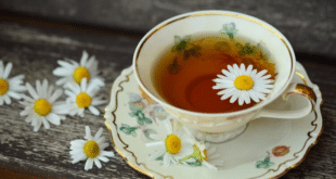Чай, който лекува над 50 болести: Пийте по чаша всяка сутрин, ще бъдете здрави и стройни