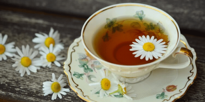 Чай, който лекува над 50 болести: Пийте по чаша всяка сутрин, ще бъдете здрави и стройни