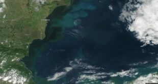 Дойде ли кошмарът от "Каховка"? Нещо плъзна в Черно море, учени обявиха истината СНИМКИ