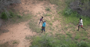 Малко момче, изгубено за 6 дни в суровата кенийска пустош, е спасено: „Невероятен момент“