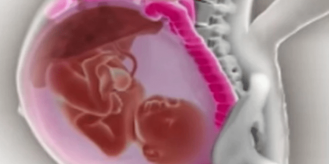 Видео, което остави два милиона души без думи: Вижте как се движат органите на майката по време на бременност