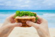 Никога не носете чипс и сандвичи на плажа: Това е списък със "забранените" храни на почивка, могат да ви създадат сериозни проблеми!