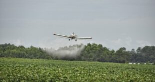 Селскостопански самолет е паднал край Раднево, има загинал