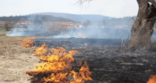 Голям пожар бушува край Карнобат