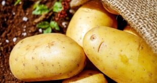Предотвратете покълването на картофите: Не ги съхранявайте до тези 2 храни