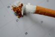 Расте на всяка крачка: Руснаците оставят цигари до това растение, пушенето буквално ще ви отврати